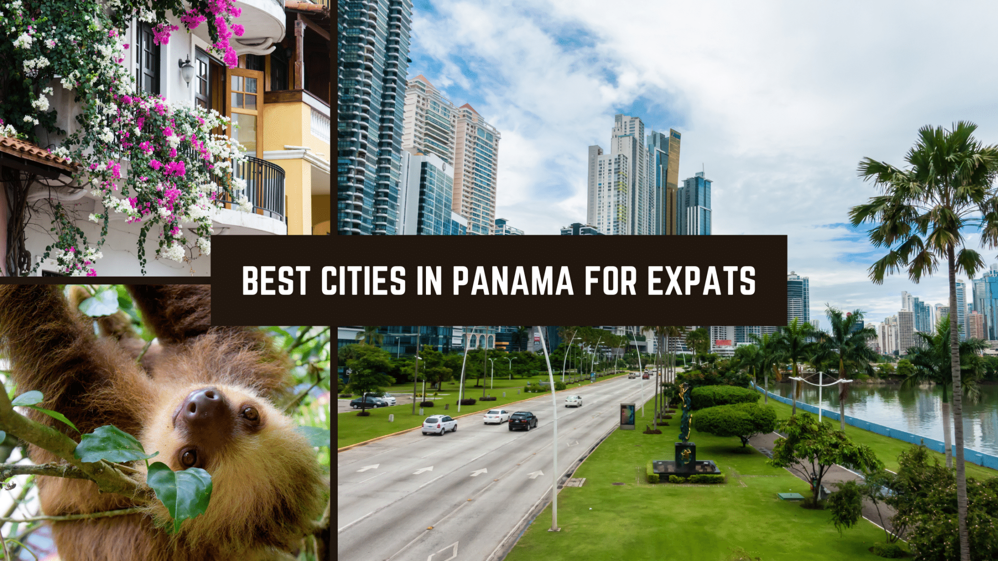 best cities in panama for expats illustration